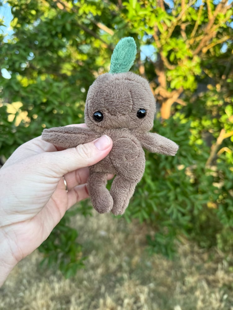 Image of baby tree