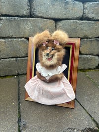 Image 1 of Pretty In Pink (framed mink)