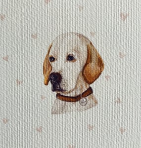 Image of Dog Portrait (digital file)