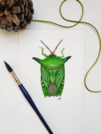 Image 3 of Green Giant Shield bug Watercolor Illustration PRINT 