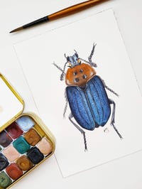 Image 6 of Carrion beetle watercolor illustration PRINT 