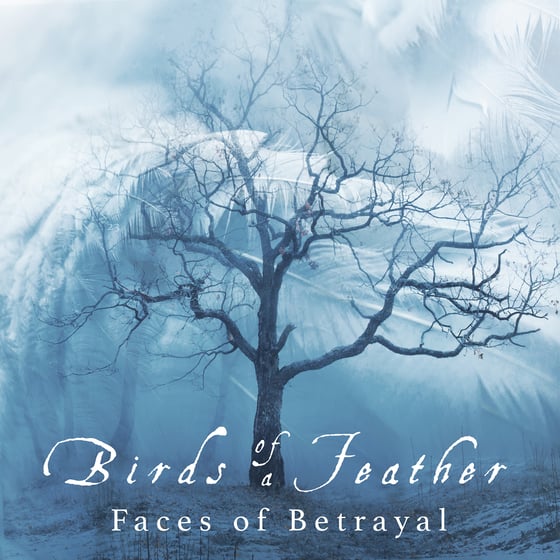 Image of Birds of a Feather 'Faces of Betrayal' 7" single 