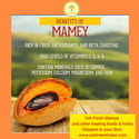 Mamey Sapote, Fresh 1pc