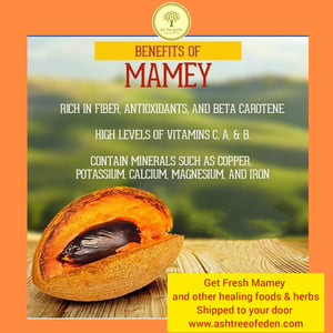 Image of Mamey Sapote, Fresh 1pc
