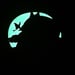 Image of Moon Butterfly pin 
