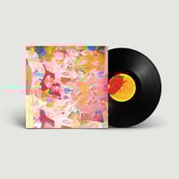 Barely Blind - Imagined Troubles - Vinyl