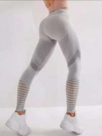 Gym Queen Leggings - Grey