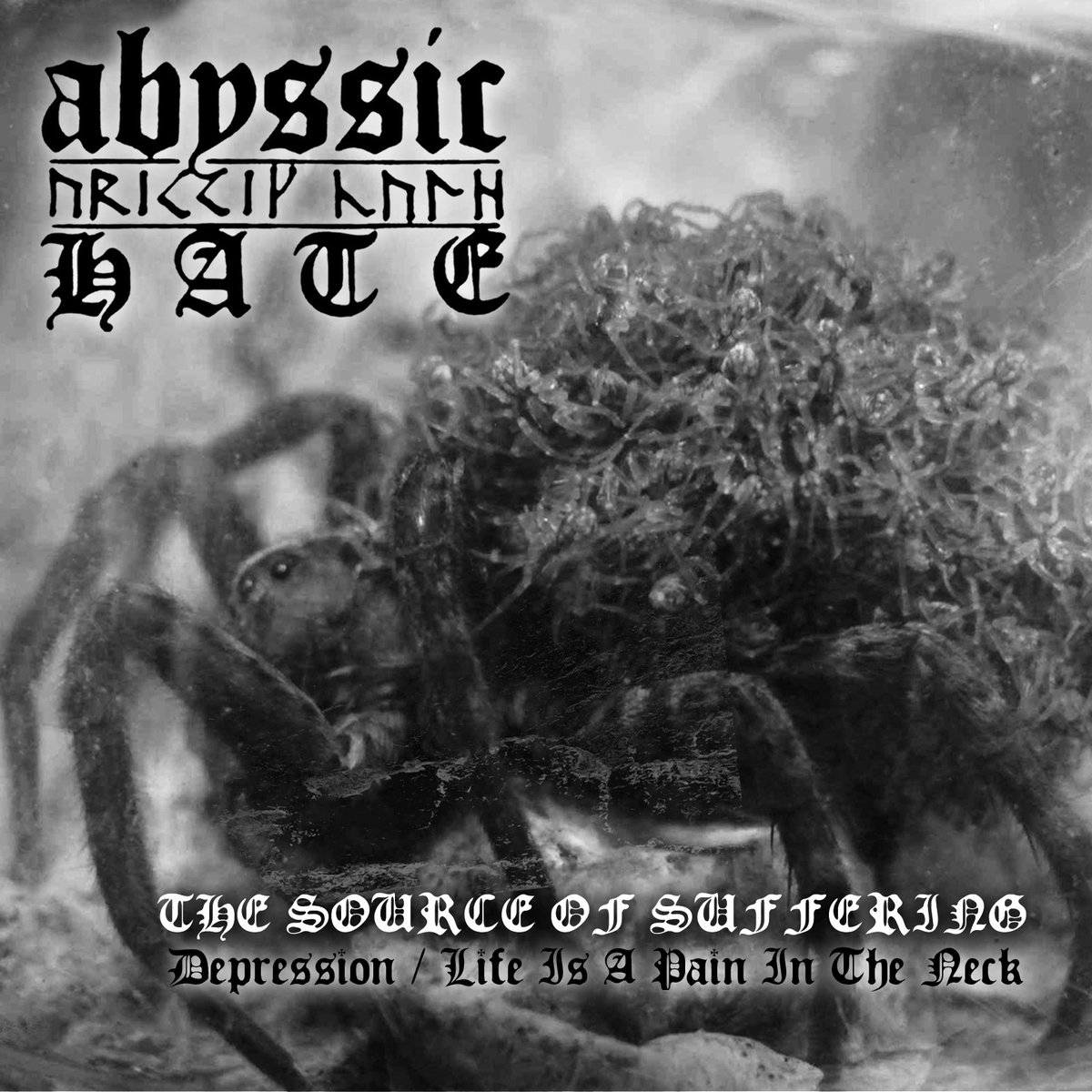 ABYSSIC HATE -The Source Of Suffering- DIGI-CD