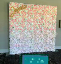 Blush Pink Flower wall 