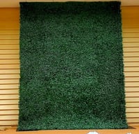 Image 1 of Green  safari wall 8X10