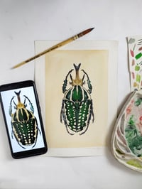 Image 4 of Mecynorhina Beetle LIMITED EDITION PRINT 