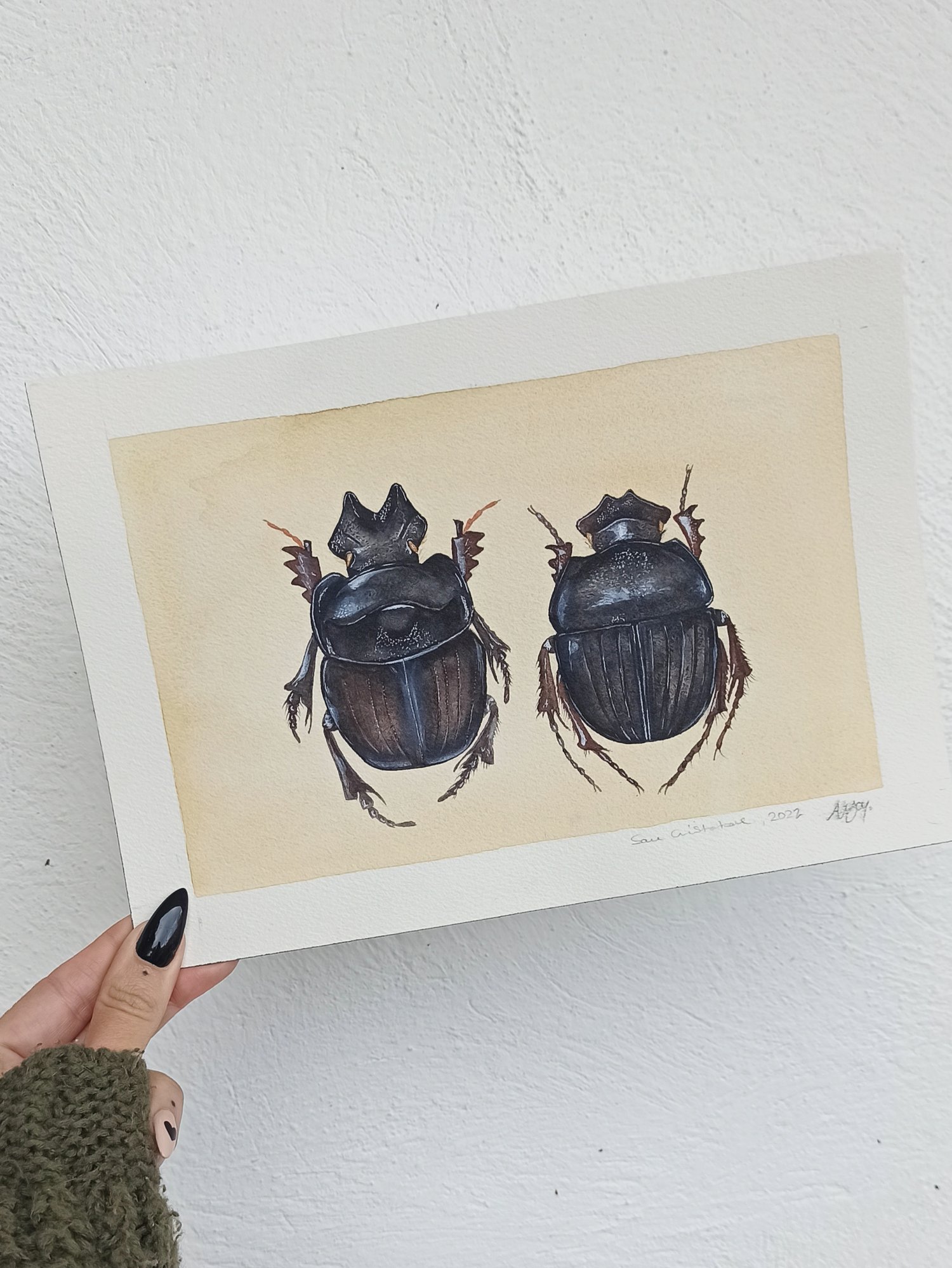 Image of Dung Beetle Watercolor Illustration LIMITED EDITION PRINT 