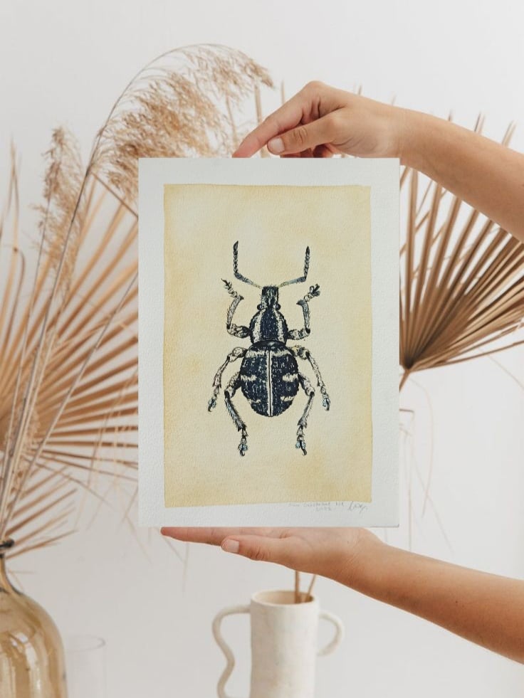Image of Black Beetle Watercolor Illustration LIMITED EDITION PRINT 
