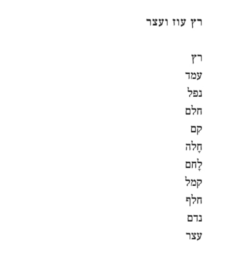 Image of נעם דובב - כשחשך (2022)