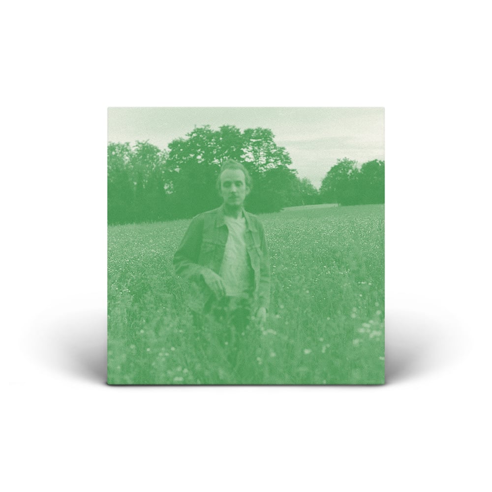 The Sleeping Tree - Timeline (LP)