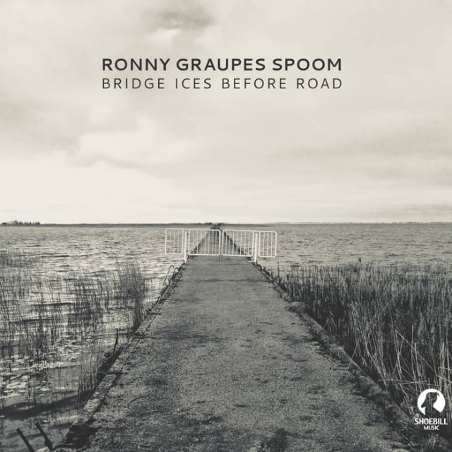 Ronny Graupes Spoom