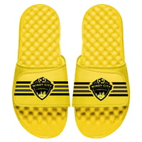 Yellow WCR Slides