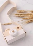 The Classic Wooden Camera