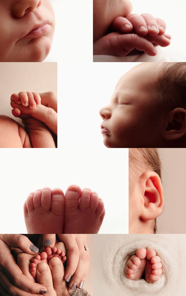 Image of 1-1 NEWBORN PHOTOGRAPHY TRAINING DEPOSIT