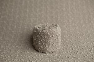 Image of Windsor / Pebble