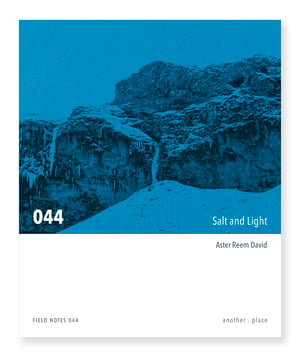 Salt and Light - Aster Reem David