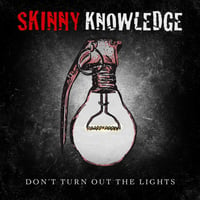 Image 4 of Skinny Knowledge Vinyl