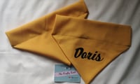 Image 2 of Plain Dog Bandanas