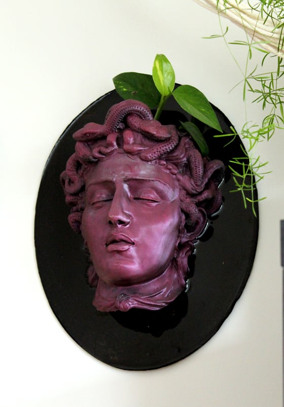 Image of Medusa wall planter