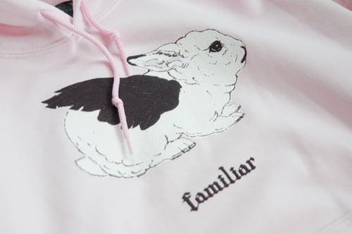 Image of "FAMILIAR" Hoodie (LIVING SHADOW)