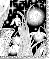 Image 3 of Moondrops and snowdrops