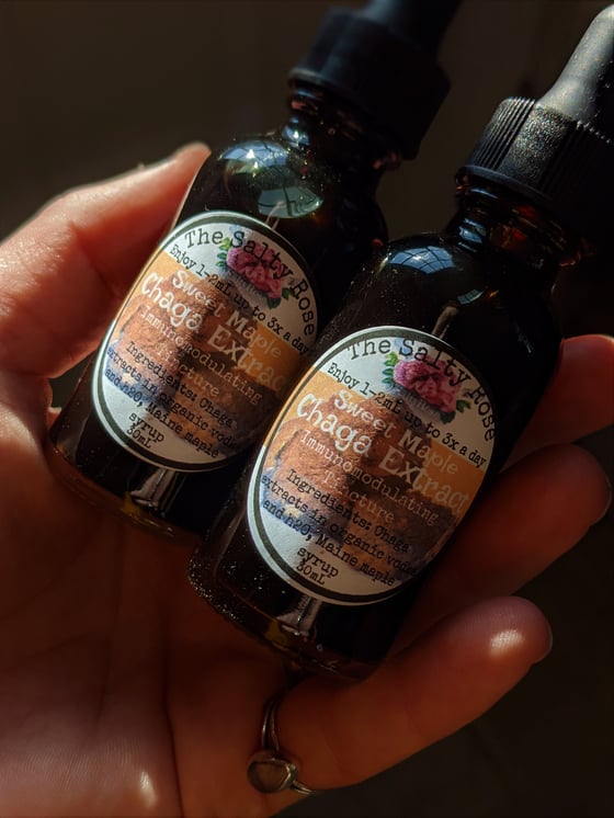 Image of Sweet Maple Chaga Extract