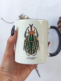 Image 5 of Mecynorhina Beetle Coffee Mug