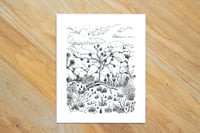 Image 5 of Joshua Tree National Park NPS | Pen Illustration | Print