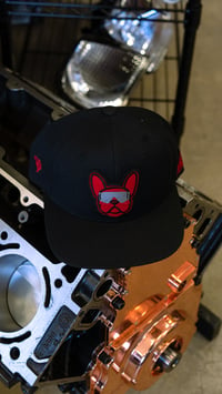 Image 3 of Frenchie Bull- Black Hat 