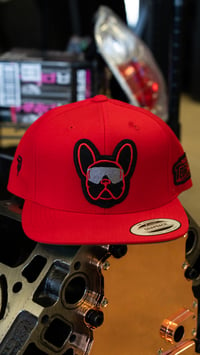 Image 3 of Frenchie Bull - Red Hat 