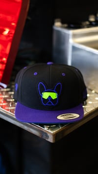 Image 3 of FRENCHIE BULL - PURPLE HAT