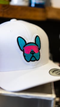 Image 3 of FRENCHIE BULL - WHITE HAT