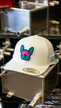 Image 2 of  Frenchie Bull -White Hat 