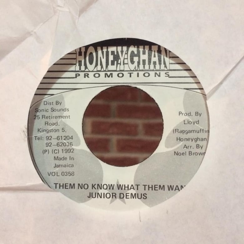 Image of Junior Demus - Them No Know What Them Want