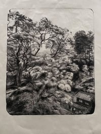 Image 3 of Mont Shosha II