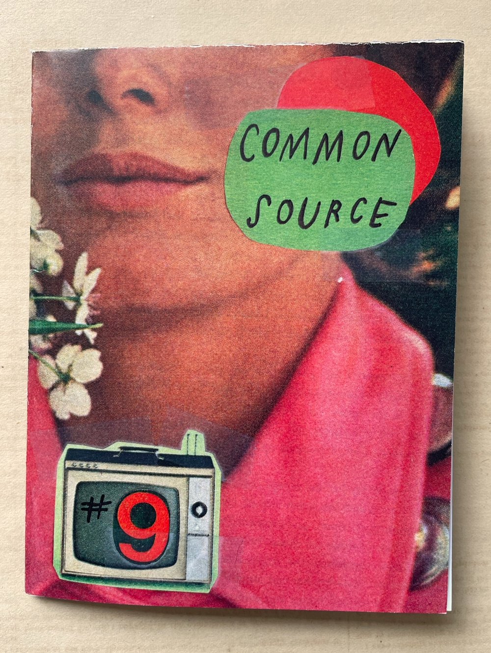 COMMON SOURCE #9 by Mary Lamb