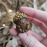 Image 5 of Cutie Acorn Baby 