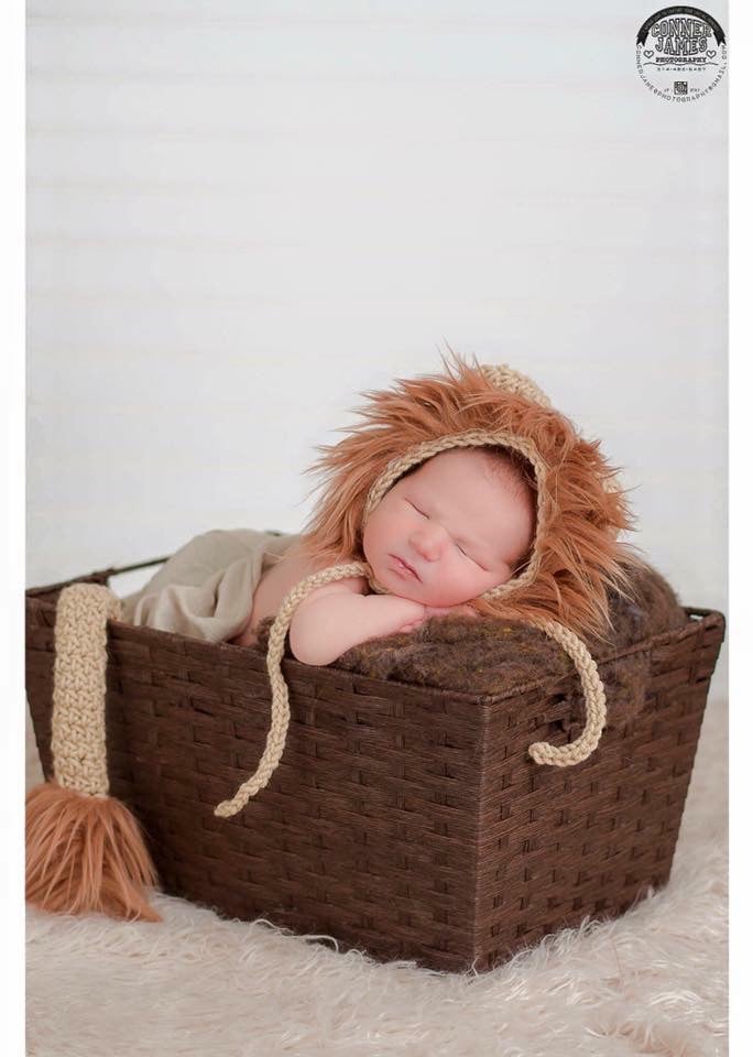 Image of Furry Lion Hat
