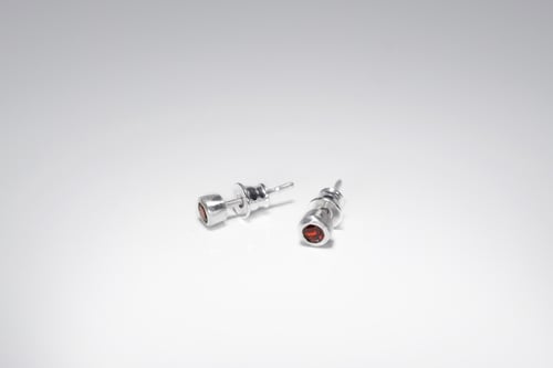 Image of SILVER EARRINGS WITH GARNETS