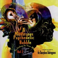 Image 1 of The Amorphous Androgynous* – A Monstrous Psychedelic Bubble Vol 2 - Pagan Love Vibrations