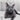 Collar Wifi&Clo gatito