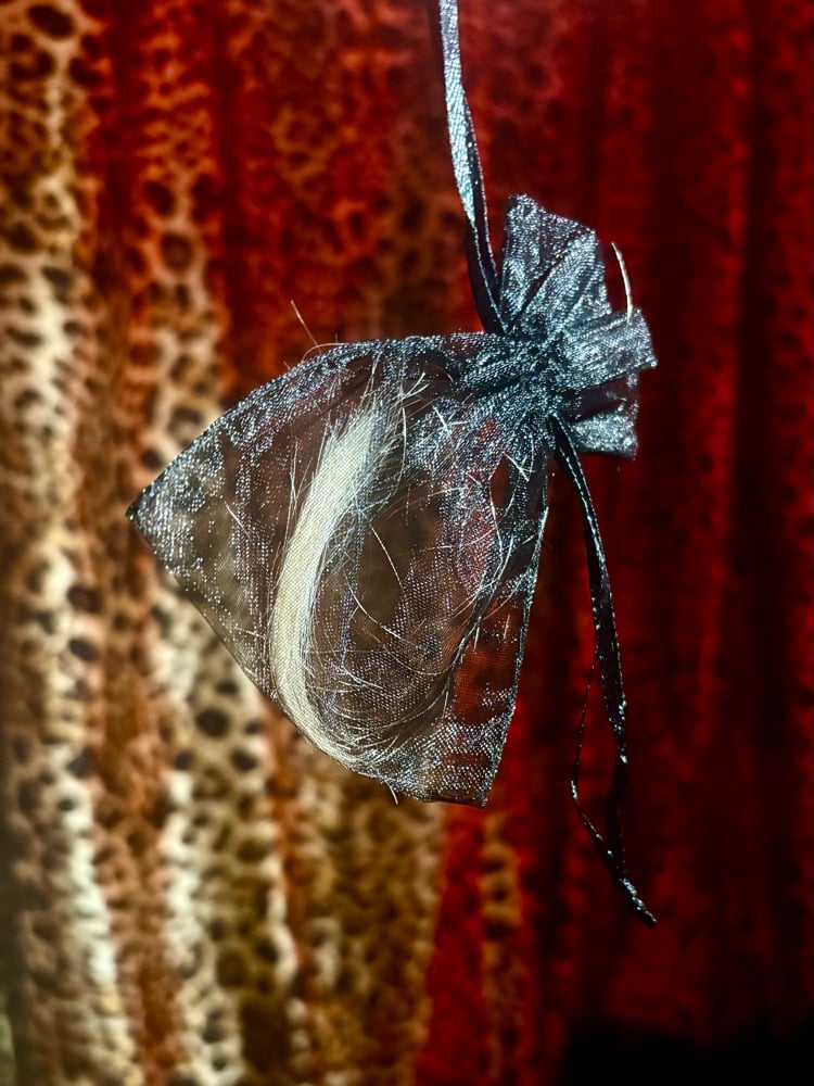 Image of A SNIPPET OF MY HAIR