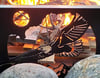 Custom welded fire pit