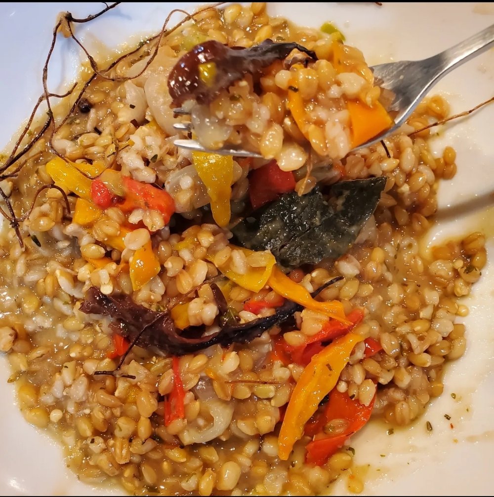 ORIGINAL WHEAT-14 Ancient Einkorn Wheat Berries/Flour/Pasta 6-7 oz.-Eyes-Heart-Kidneys-Bones