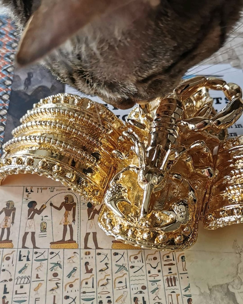 Image of (IMPERFECT) Bracelet of Anubis
